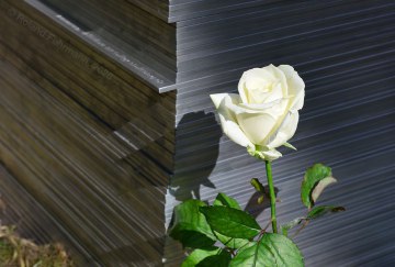 260922_Geschwister-Scholl-Denkmal_DSC_1327