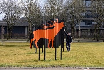 roerender-hirsch_fuhrmann_DSC_6422_web